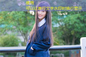 亲密关系中的信任建立:上海的案例 亲密关系中的信任建立:上海的案例